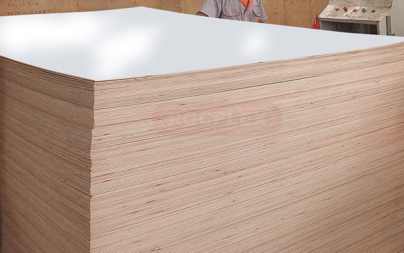 POLYESTER-PLY-2 (1) POLYESTER-PLY-2 (1)